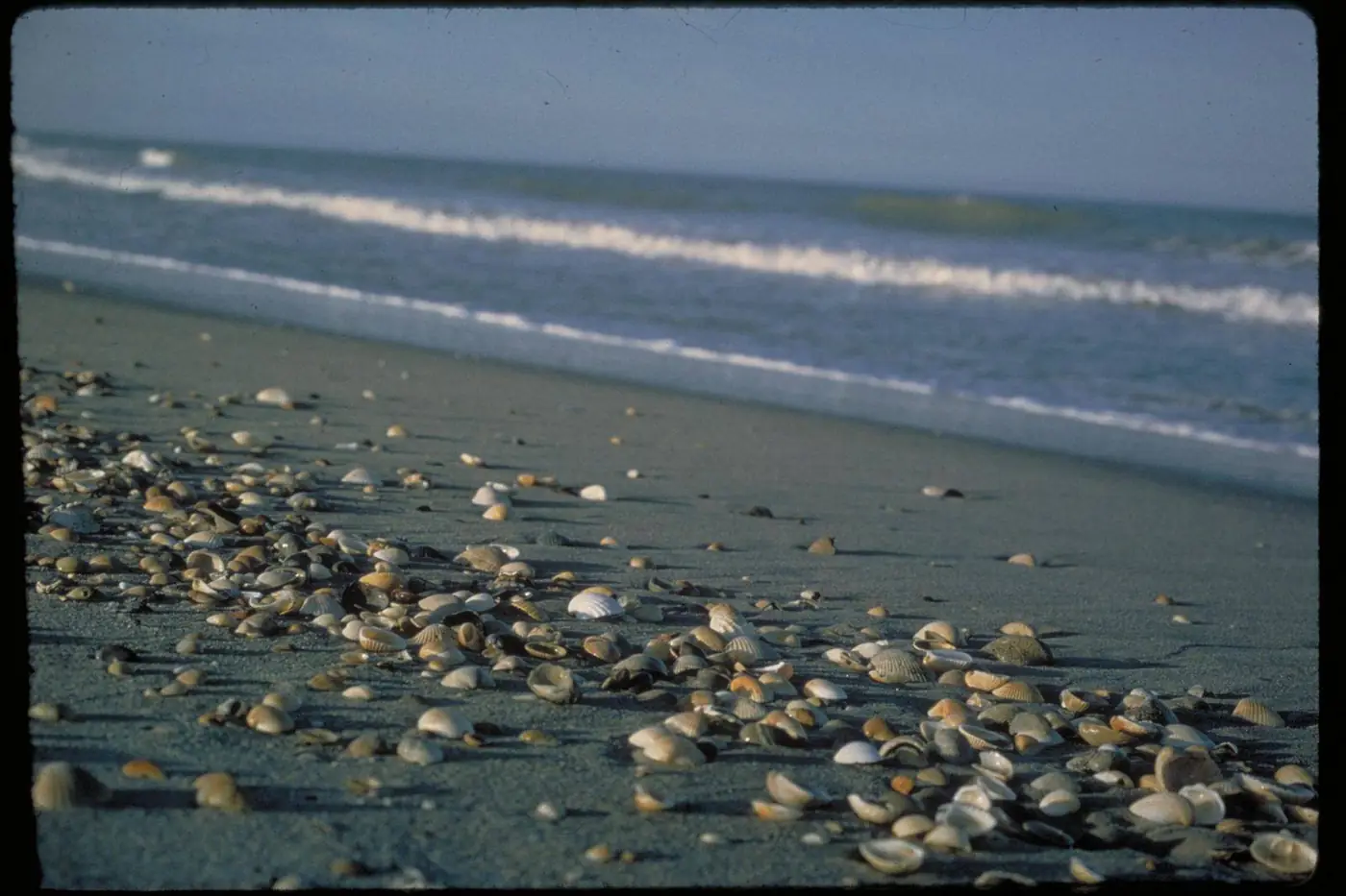 Canaveral National Seashore natural beach south of New Smyrna Beach