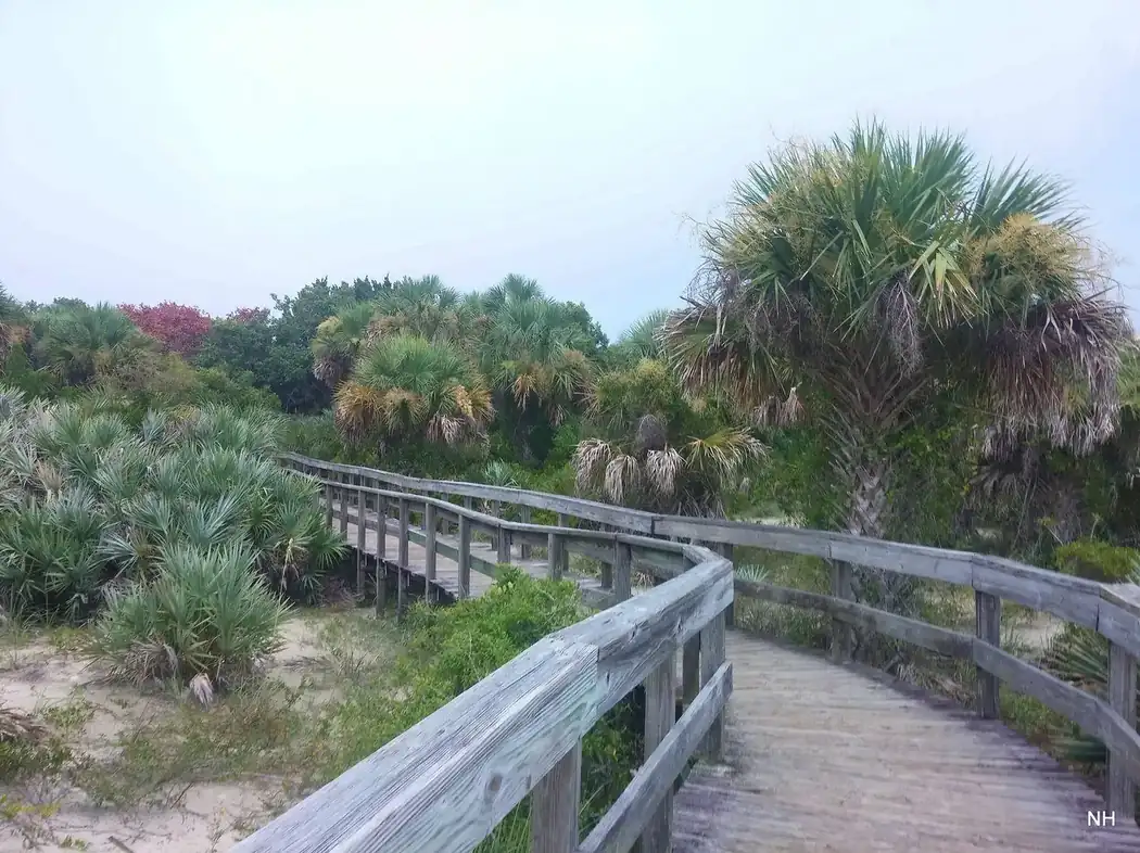 Smyrna Dunes Park